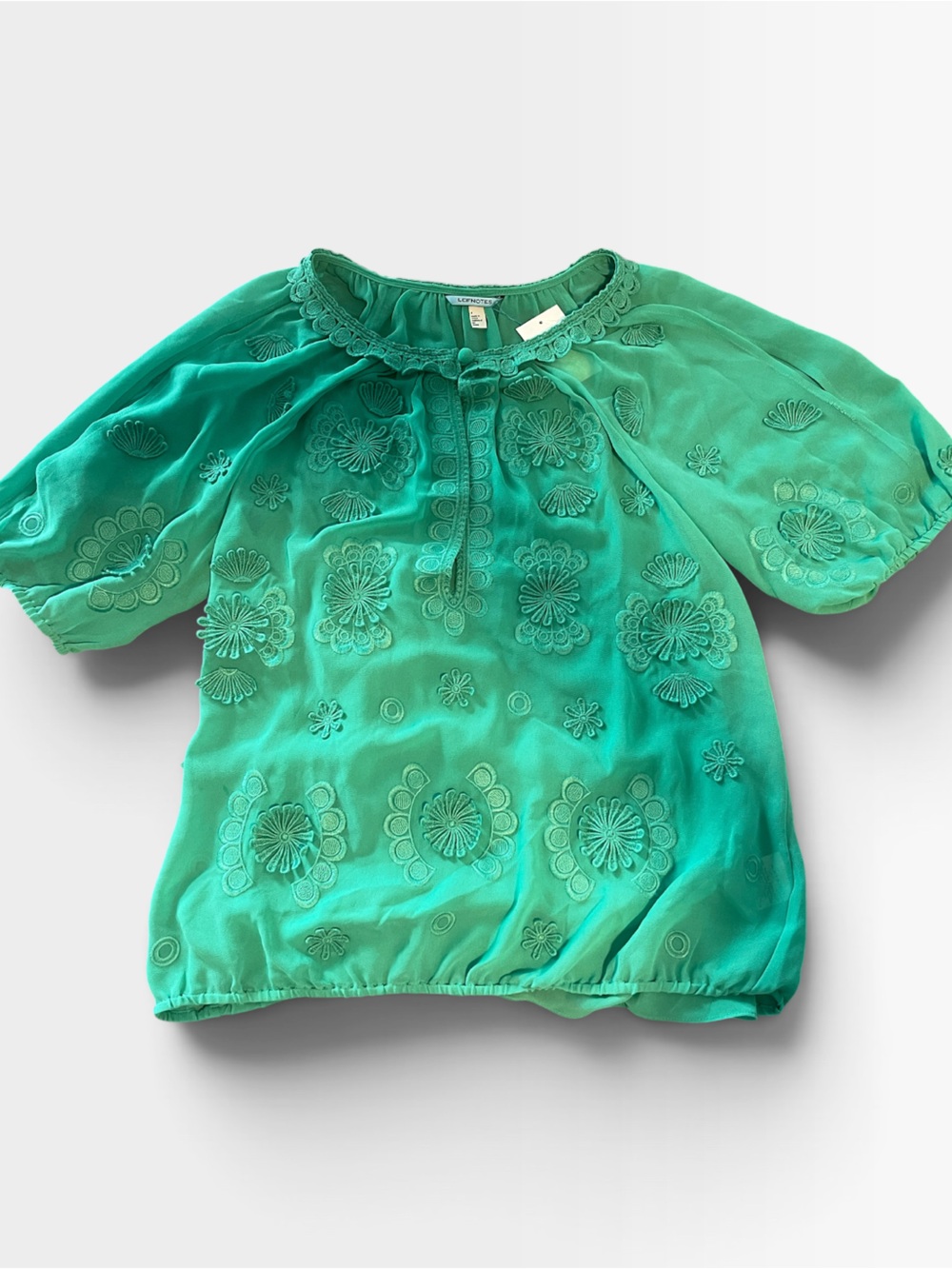 Embroidered Puff-Sleeve Blouse in Green